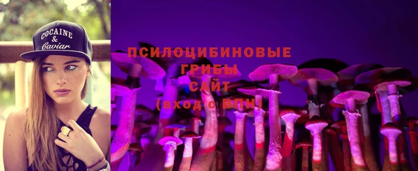 мяу мяу мука Абаза