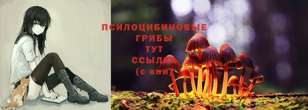 индика Абдулино